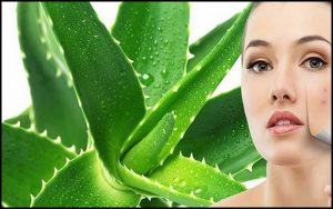 Cách trị mụn cám