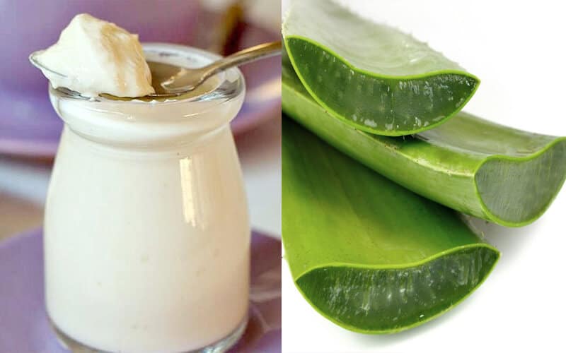 Mặt nạ Nha đam và Sữa chua giúp nám biến mất