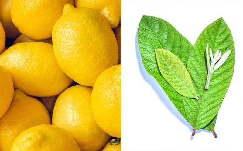 cách làm trắng răng bằng chanh