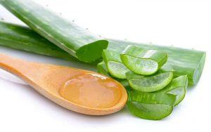 Cách trị mụn bằng nha đam