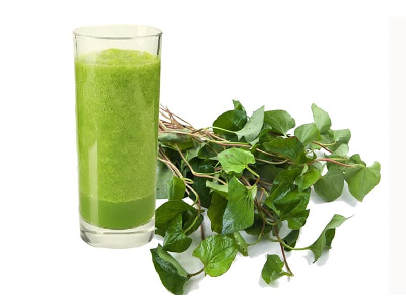 Cách trị mụn bằng rau diếp cá nước ép