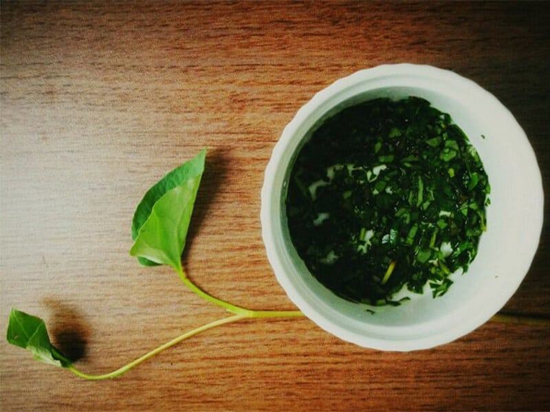 Cách trị mụn bằng rau diếp cá mặt nạ