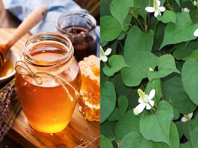 Cách trị mụn bằng rau diếp cá mật ong