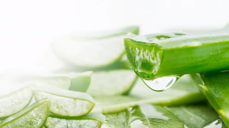 Cách trị mụn trứng cá