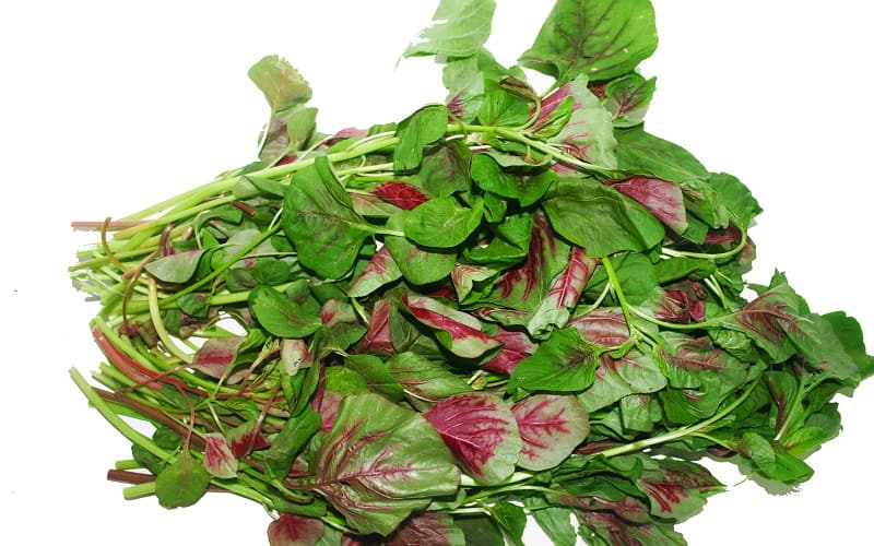 cách chữa rụng tóc