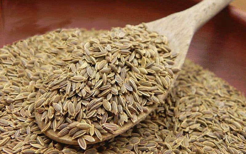 thực phẩm tăng vòng 1