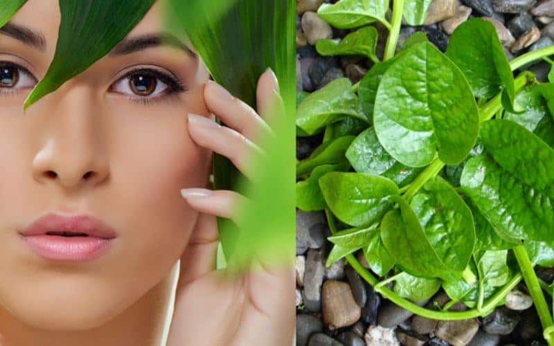 cách trị mụn ẩn dưới da