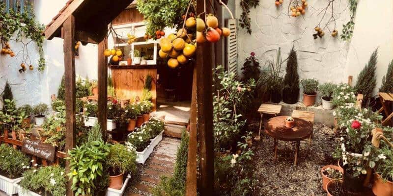 cafe Tân Bình đẹp