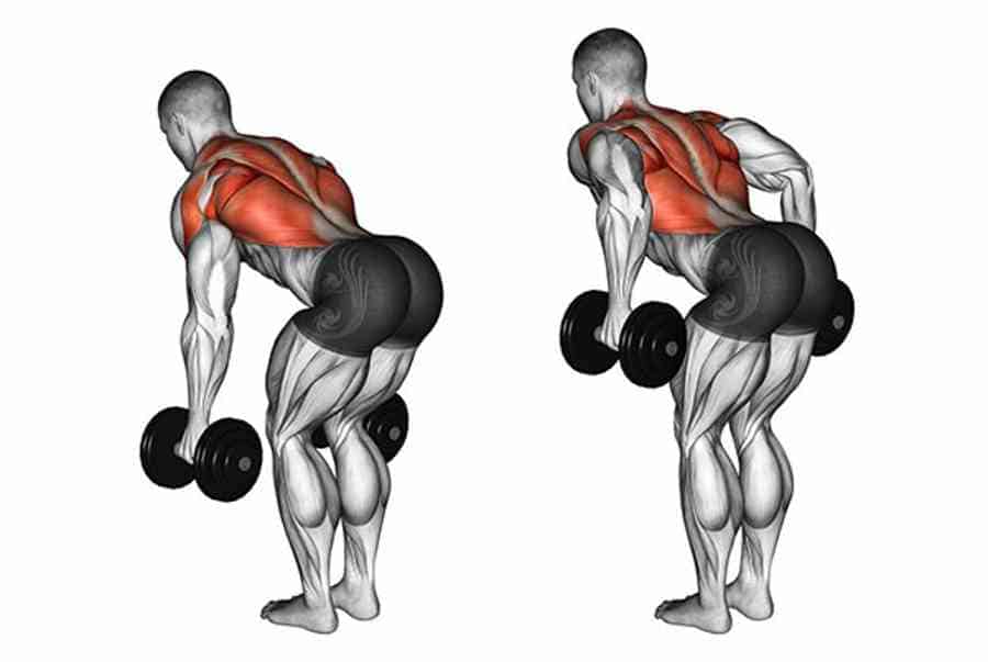 Bài tập Bent-Over Row