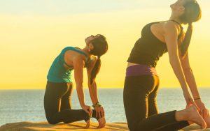 Tư thế con lạc đà