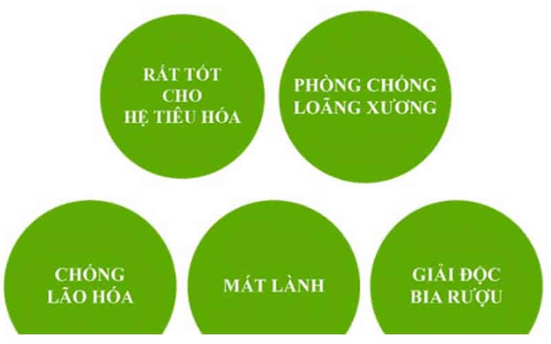 Công dụng của bột sắn dây với cơ thể