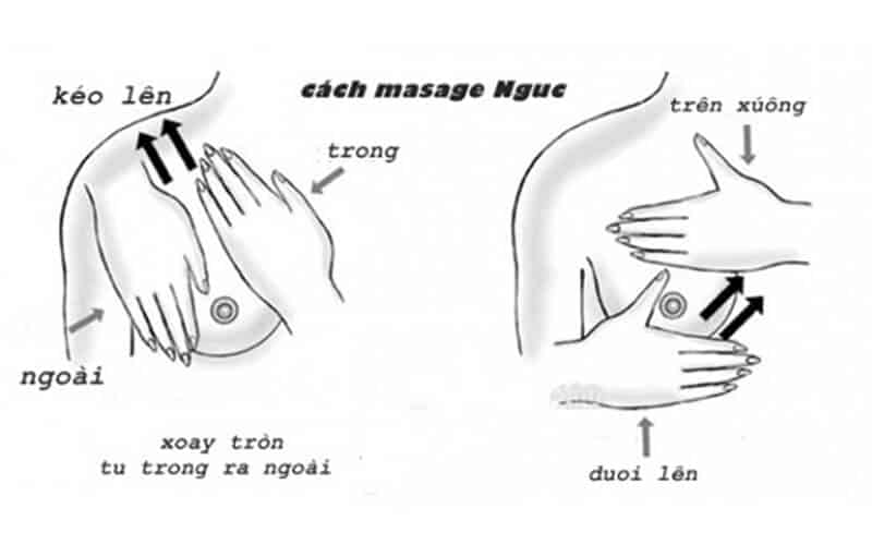Massage tăng vòng 1