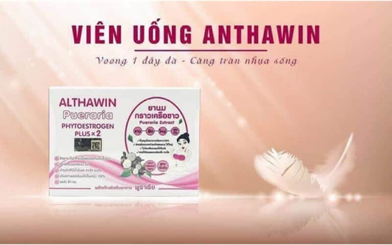 Thuốc tăng vòng 1 Anthawin