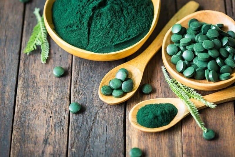 tảo có trong viên tăng cân Hoa Bảo